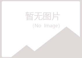 五大连池夜山服务有限公司